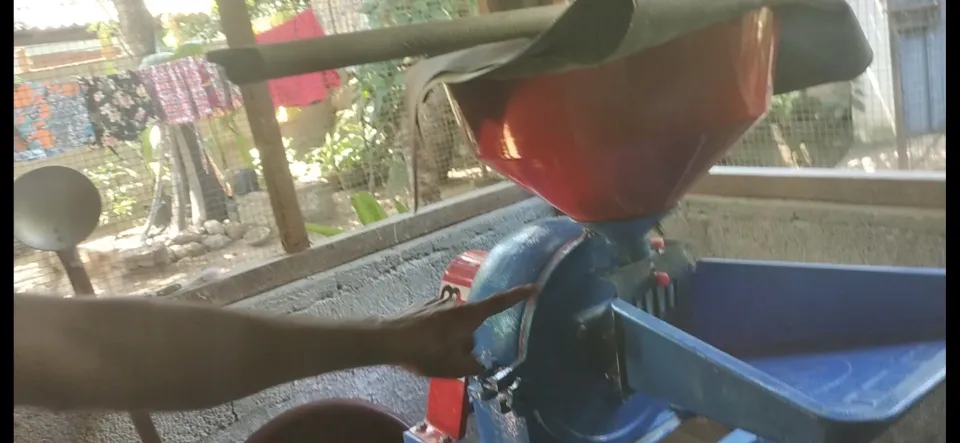 A Widow Rebuild Her Life